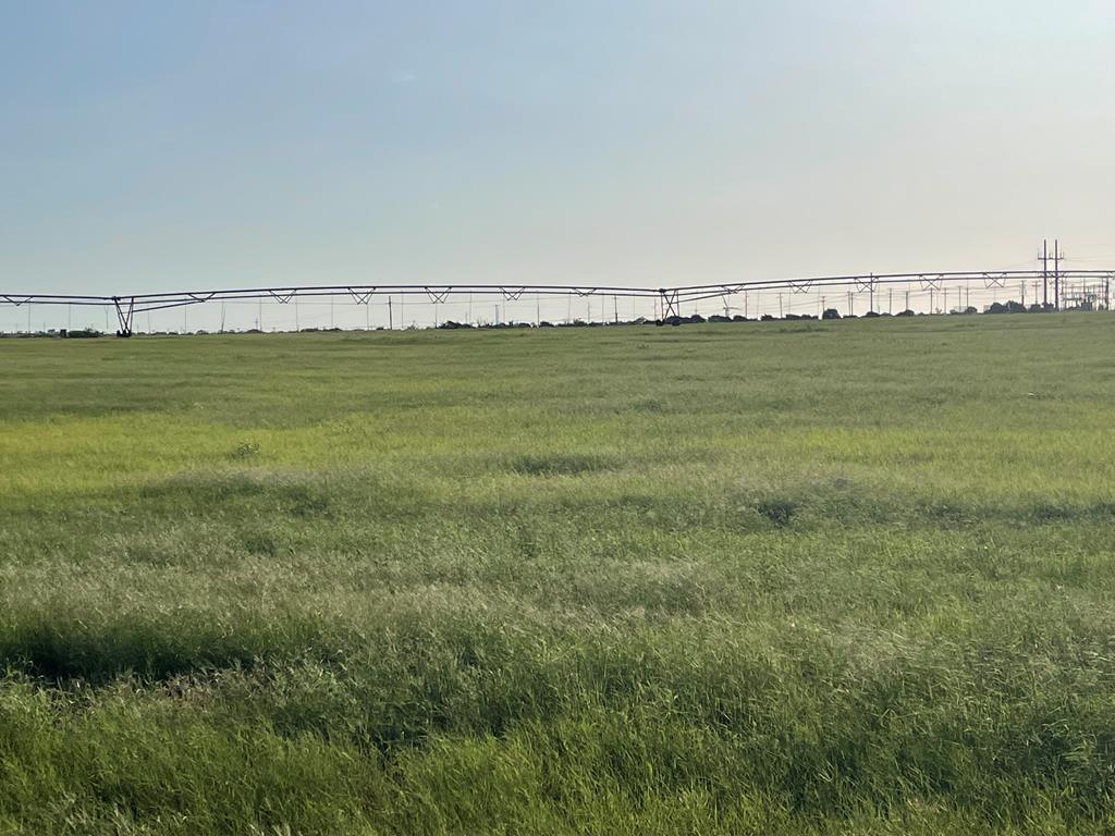 4643 County Rd 267, Snyder, TX 79549 - photo 1