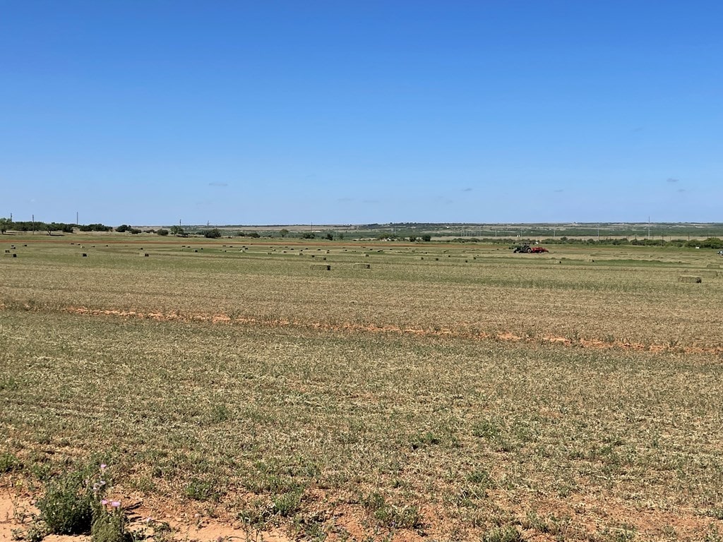 4643 County Rd 267, Snyder, TX 79549 - photo 4