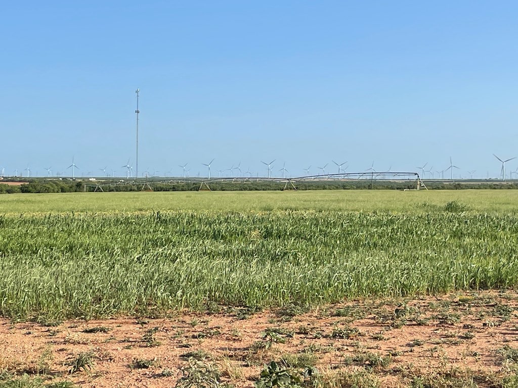 4643 County Rd 267, Snyder, TX 79549 - photo 2