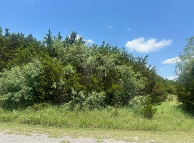 33059 Greenhills Dr, Whitney, TX 76692