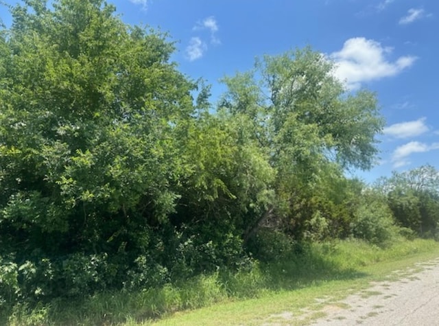 33059 Greenhills Dr, Whitney, TX 76692