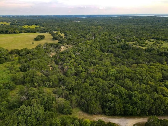 33059 Greenhills Dr, Whitney, TX 76692