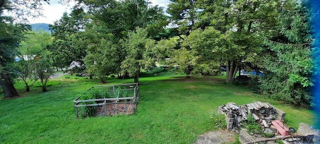 50 Wanda Way, Leechburg, PA 15656 - view of green lawn with a garden