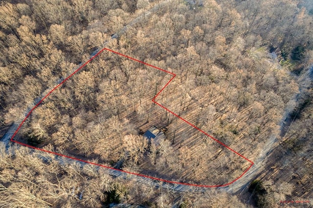 birds eye view of property featuring a view of trees