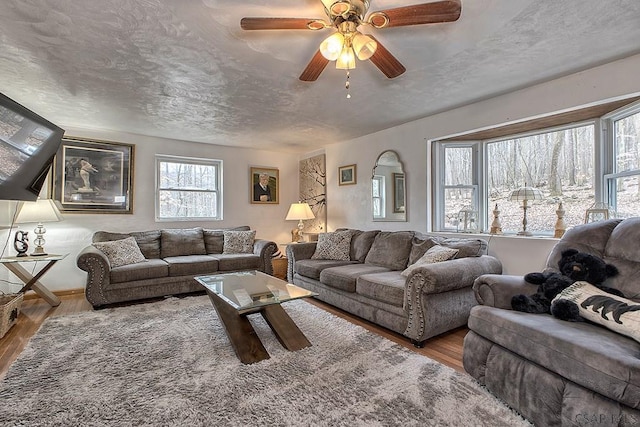 living area featuring ceiling fan, wood finished floors, and a textured ceiling