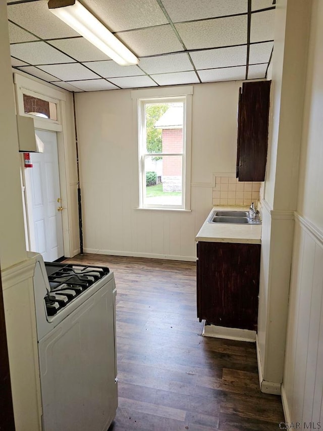 kitchen with dark wood-style flooring, white gas stove, a paneled ceiling, light countertops, and a sink