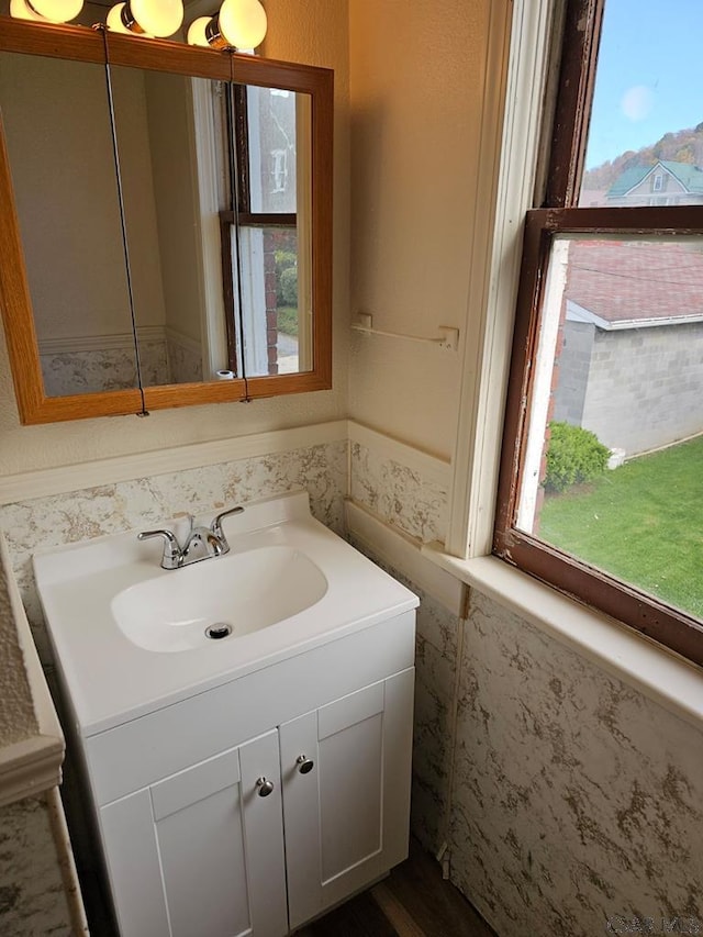 bathroom featuring a wainscoted wall, vanity, and a healthy amount of sunlight