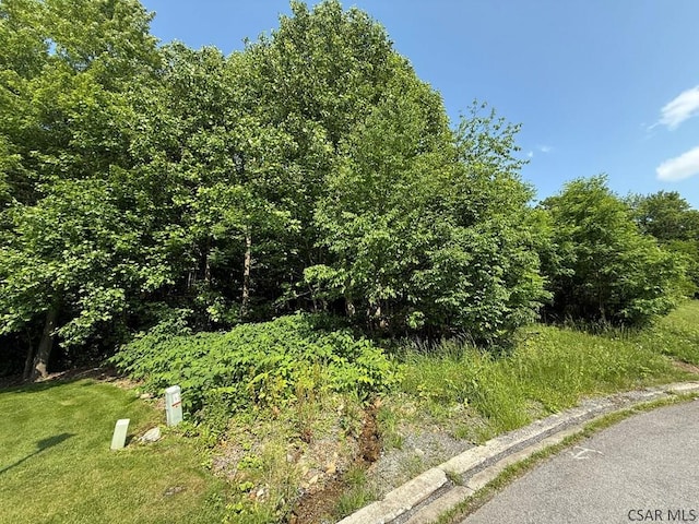 Stonybrook Ln, Lot, Johnstown, PA 15904 - photo 1