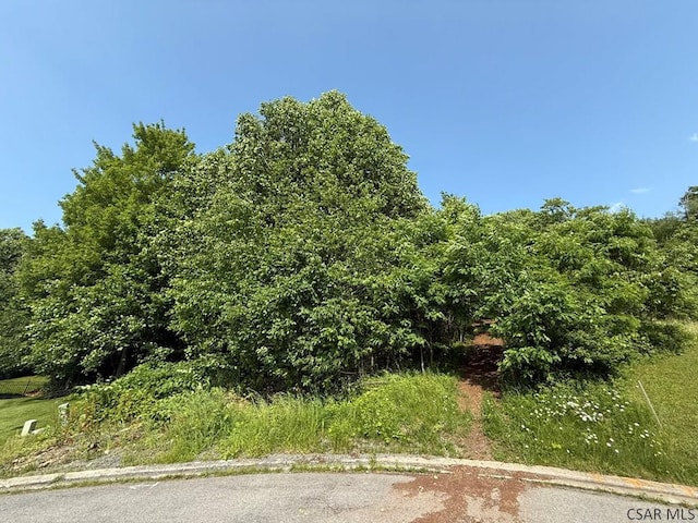 Stonybrook Ln, Lot, Johnstown, PA 15904 - photo 5