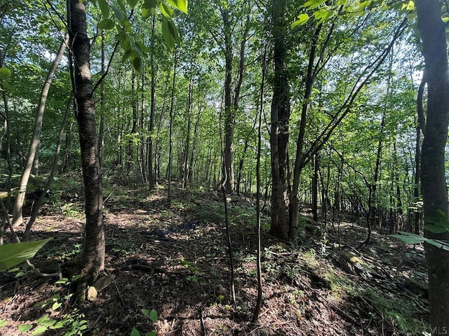 Stonybrook Ln, Lot, Johnstown, PA 15904 - photo 6