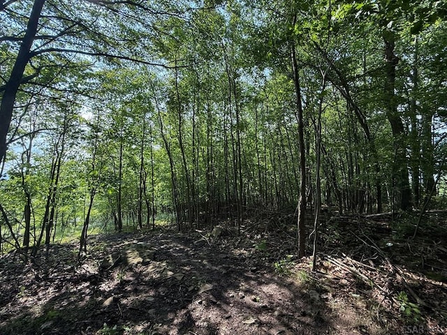 Stonybrook Ln, Lot, Johnstown, PA 15904 - photo 8