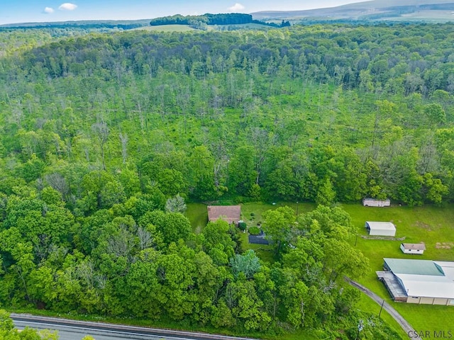 2484 Berlin Plank Rd, Berlin, PA 15530 - drone / aerial view of a forest
