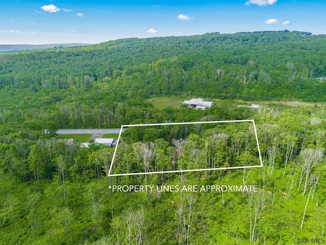 2484 Berlin Plank Rd, Berlin, PA 15530 - aerial view of property's location with a heavily wooded area and property parcel outlined