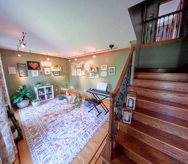 3056 Menoher Blvd, Johnstown, PA 15905 - interior space with track lighting, wood finished floors, and a textured ceiling