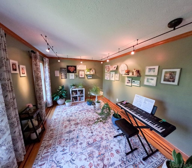 3056 Menoher Blvd, Johnstown, PA 15905 - home office with track lighting, wood finished floors, and a textured ceiling