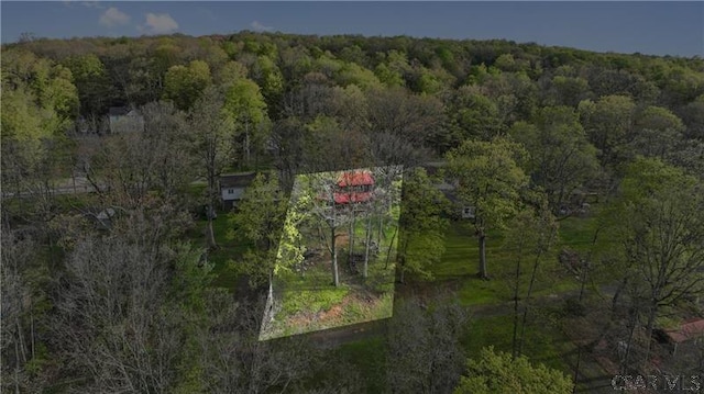 1036 Causeway Dr, Friedens, PA 15541 - drone / aerial view of a forest