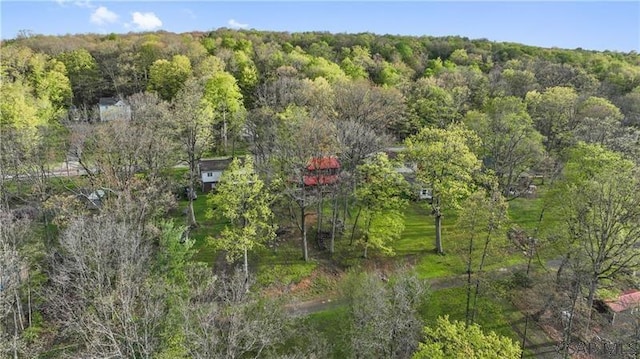 1036 Causeway Dr, Friedens, PA 15541 - bird's eye view of a heavily wooded area