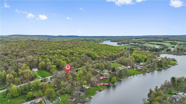 1036 Causeway Dr, Friedens, PA 15541 - aerial view of property and surrounding area with a large body of water and a heavily wooded area