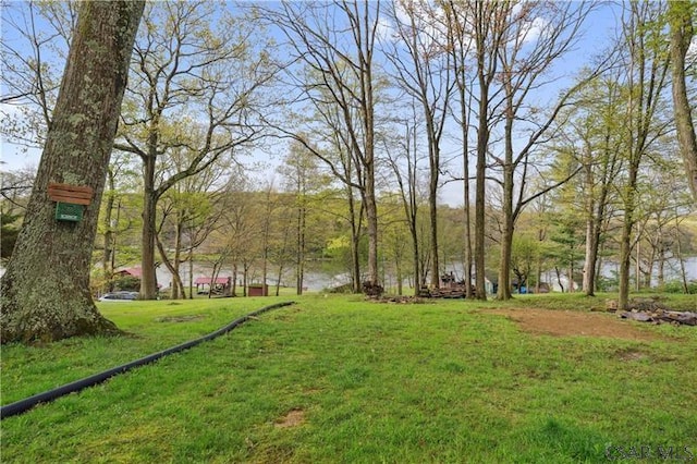 1036 Causeway Dr, Friedens, PA 15541 - view of green lawn
