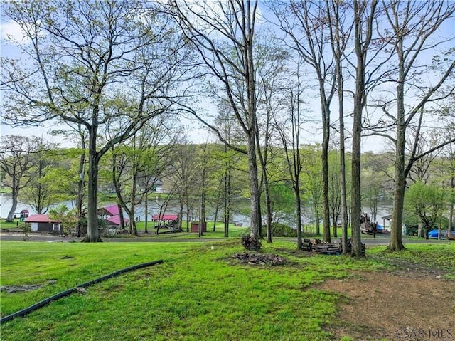 1036 Causeway Dr, Friedens, PA 15541 - view of grassy yard