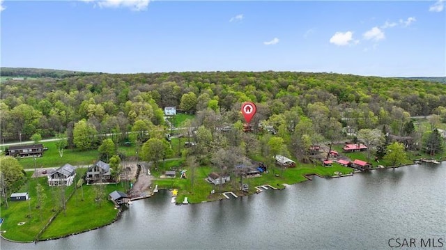 1036 Causeway Dr, Friedens, PA 15541 - view of property location featuring a forest and a large body of water