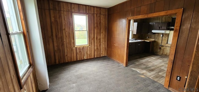 kitchen with sink, dark carpet, and wood walls