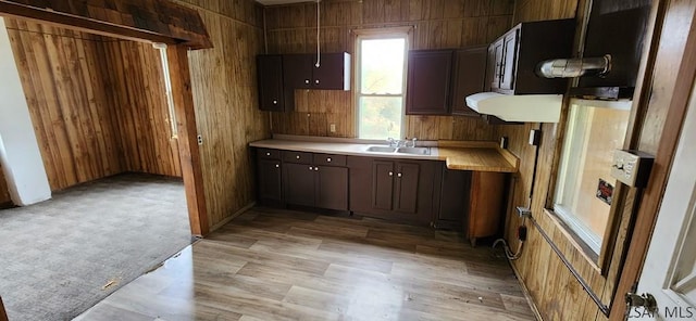 kitchen featuring sink, dark brown cabinets, and wood walls