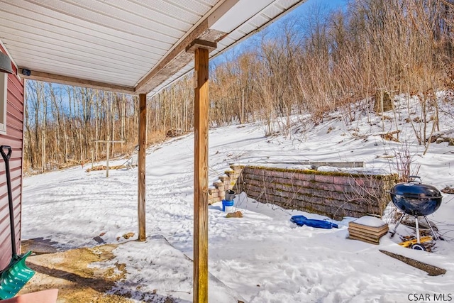 view of yard covered in snow