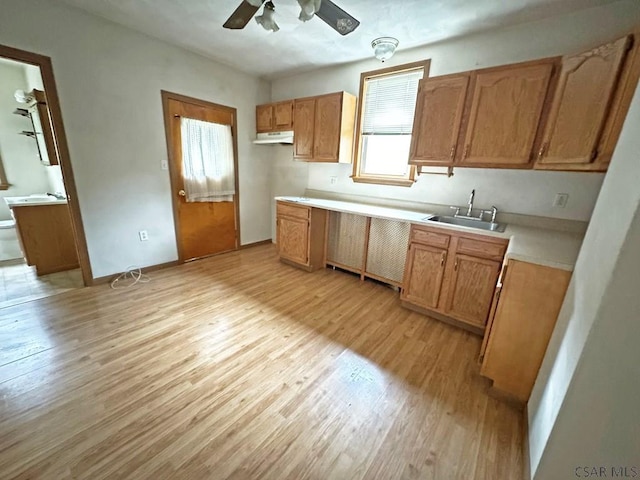 kitchen featuring sink, ceiling fan, and light wood-type flooring