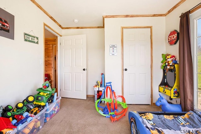 1070 Huckleberry Hwy, Central City, PA 15926 - rec room with ornamental molding and carpet