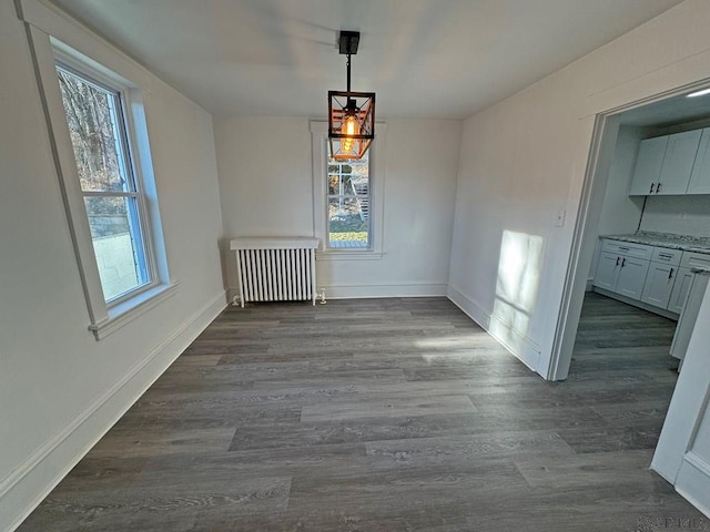 unfurnished dining area with radiator, a wealth of natural light, and dark hardwood / wood-style floors