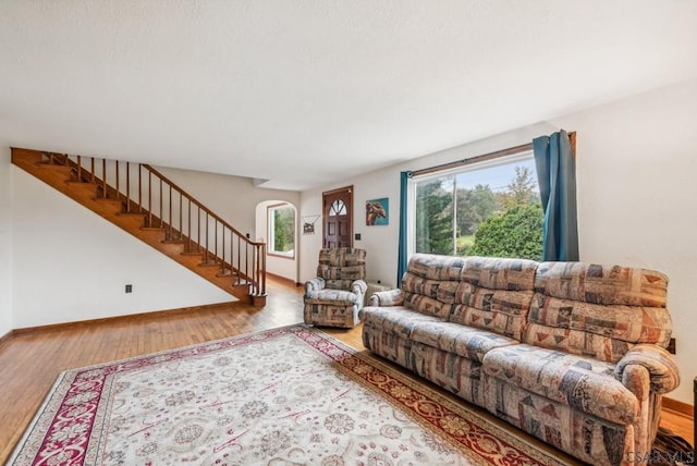 living room with wood-type flooring