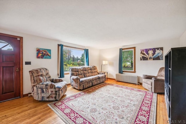 living room with radiator heating unit and light hardwood / wood-style flooring