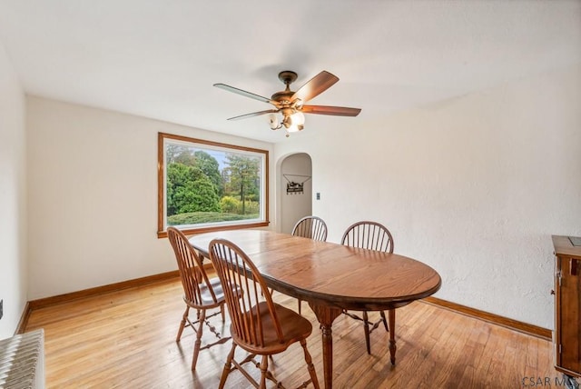 dining space with ceiling fan and light wood-type flooring