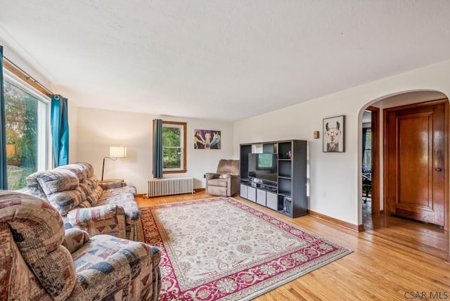 living room featuring radiator and light hardwood / wood-style flooring