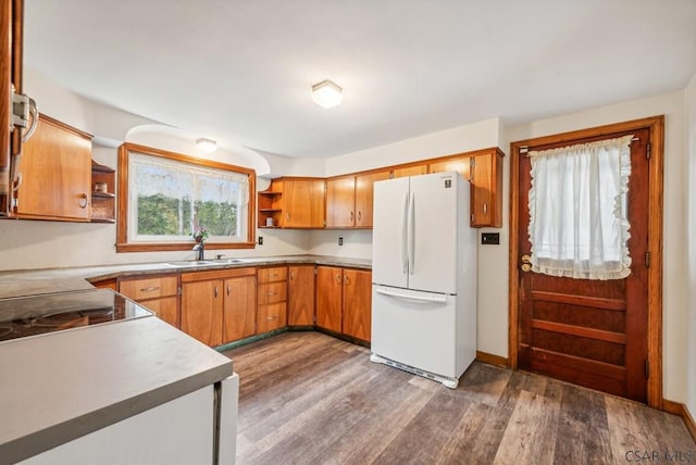 kitchen with dark wood-type flooring, black electric cooktop, sink, and white fridge