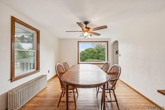 dining area featuring radiator heating unit, light hardwood / wood-style floors, and ceiling fan