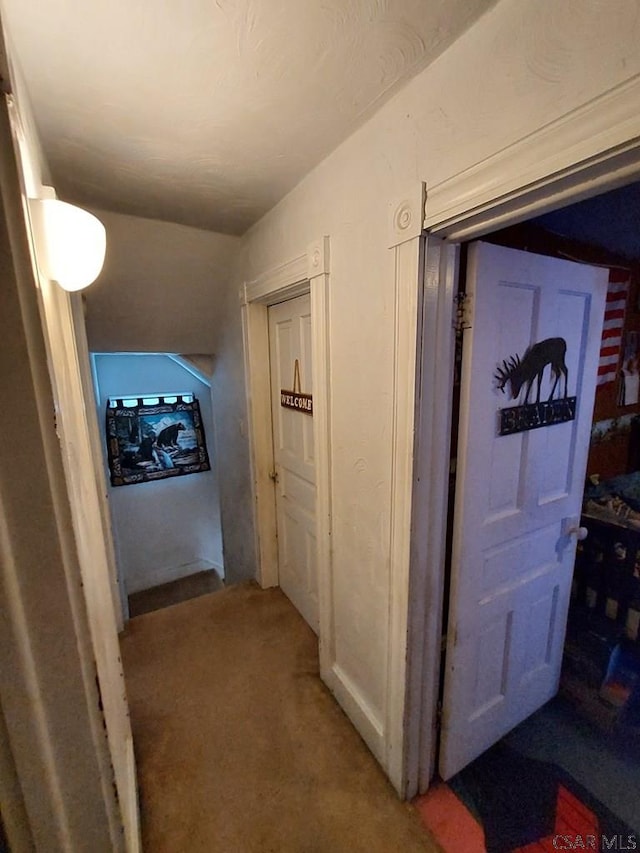 hallway with carpet flooring