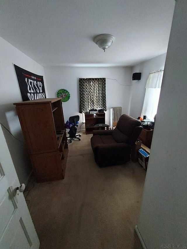 interior space featuring radiator and carpet flooring