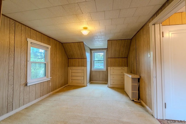 1750 Scalp Ave, Johnstown, PA 15904 - additional living space with wooden walls, light carpet, radiator, and baseboards