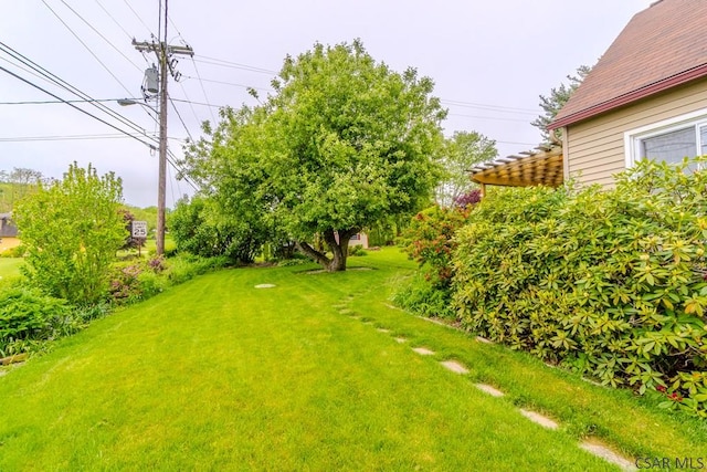 1750 Scalp Ave, Johnstown, PA 15904 - view of green lawn