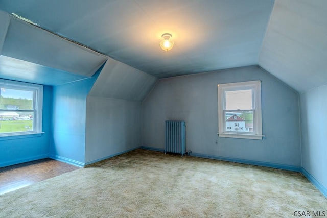 1750 Scalp Ave, Johnstown, PA 15904 - additional living space featuring radiator, carpet floors, lofted ceiling, and baseboards