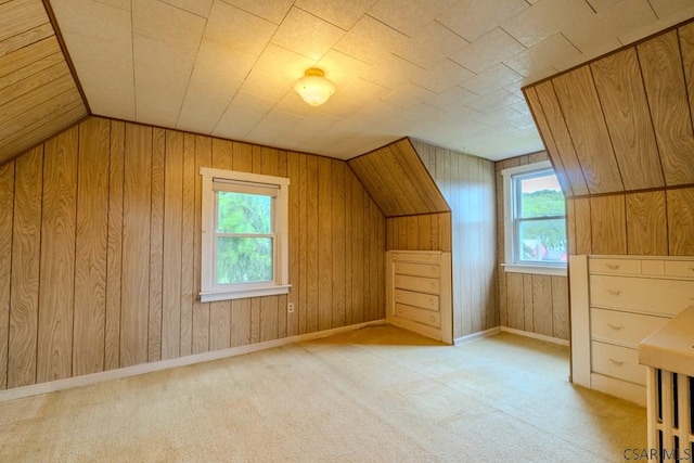 1750 Scalp Ave, Johnstown, PA 15904 - additional living space with healthy amount of natural light, vaulted ceiling, wood walls, and carpet flooring