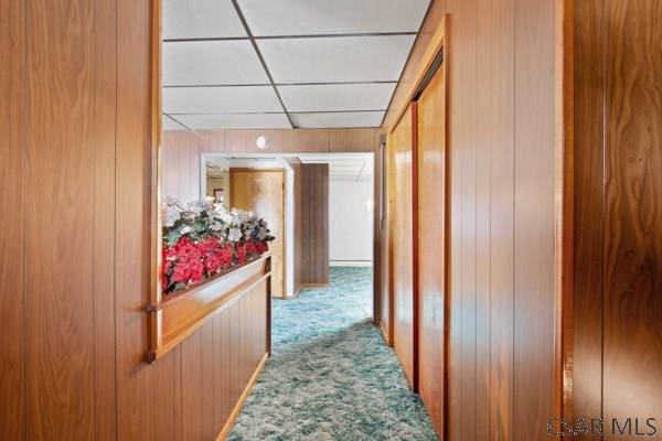 hall with light carpet, a drop ceiling, and wooden walls