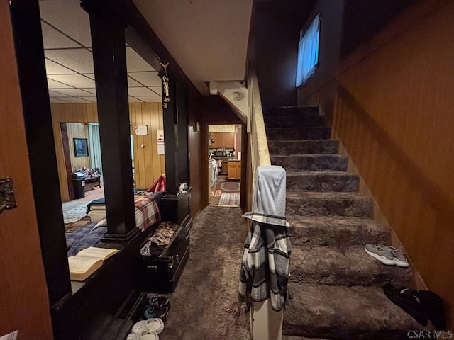 staircase with a paneled ceiling, carpet flooring, and wooden walls