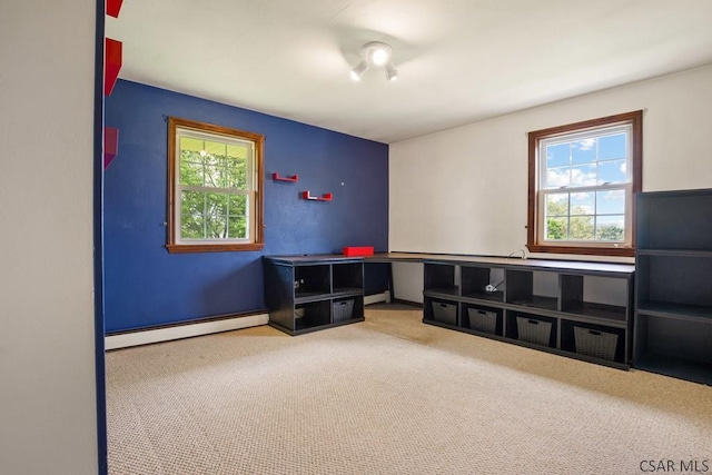 258 Samuels Rd, Somerset, PA 15501 - misc room featuring plenty of natural light, baseboard heating, and carpet