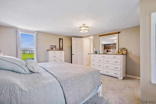 1139 Chickentown Rd, Somerset, PA 15501 - bedroom featuring baseboards and light carpet