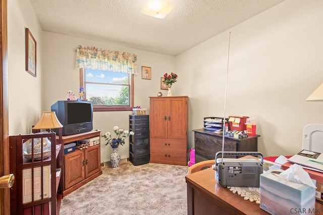 1234 S Franklin Ave, Somerset, PA 15501 - photo 19