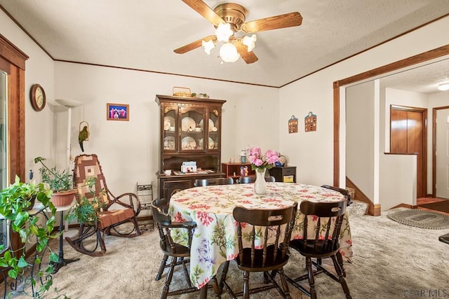 1234 S Franklin Ave, Somerset, PA 15501 - photo 9
