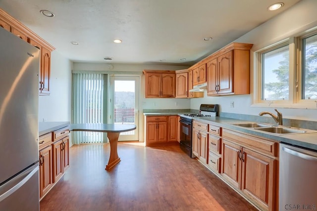 kitchen featuring under cabinet range hood, a sink, dark wood-style floors, recessed lighting, and appliances with stainless steel finishes